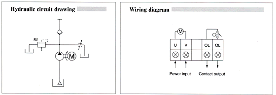 Motor driven continuous gear pump Wiring diagram/Hydraulic circuit drawing